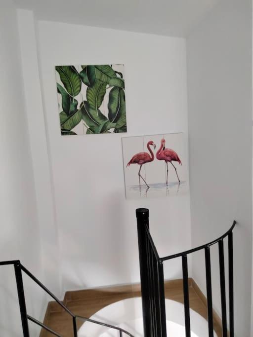 Casita Pinypon Villa Jerez de la Frontera Luaran gambar
